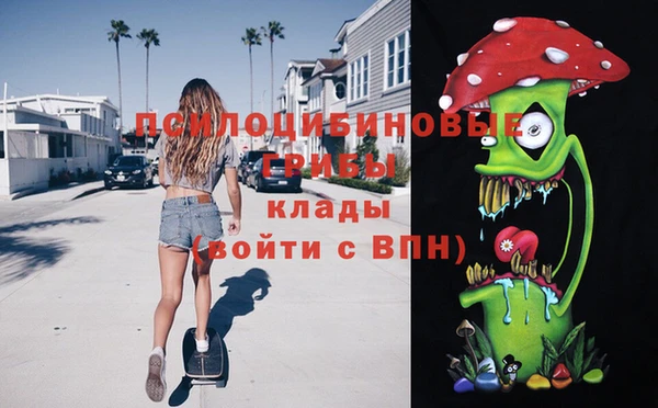 крисы Беломорск