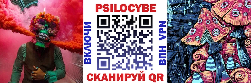 купить  сайты  Светлый  blacksprut онион  Галлюциногенные грибы Psilocybine cubensis 